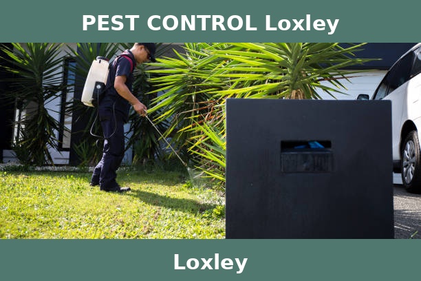 PEST CONTROL Loxley